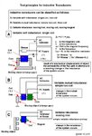 Tests for Inductive Transducers 01.jpg