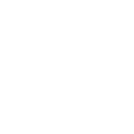 niituniversity