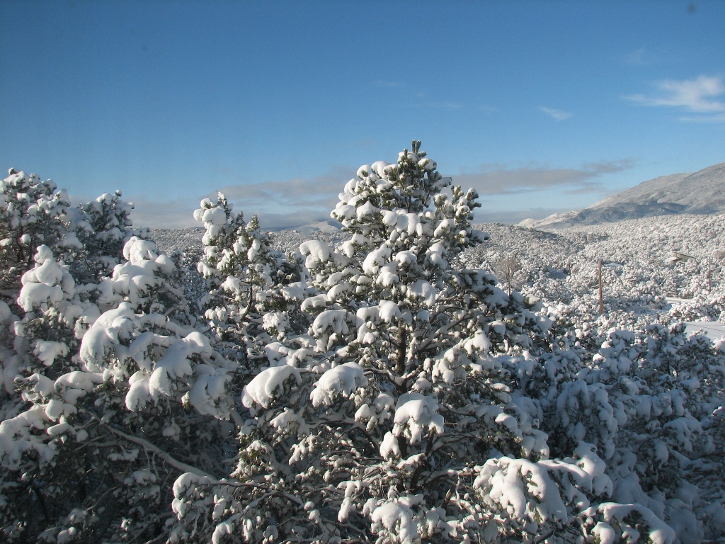 Snow in the Pass